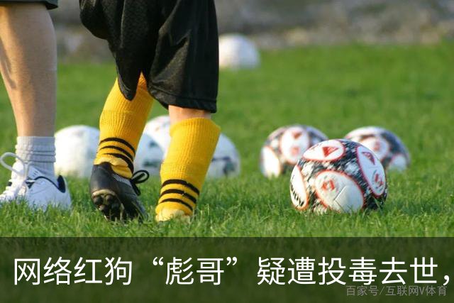 网络红狗“彪哥”疑遭投毒去世，主人悲痛呼吁关注宠物安全